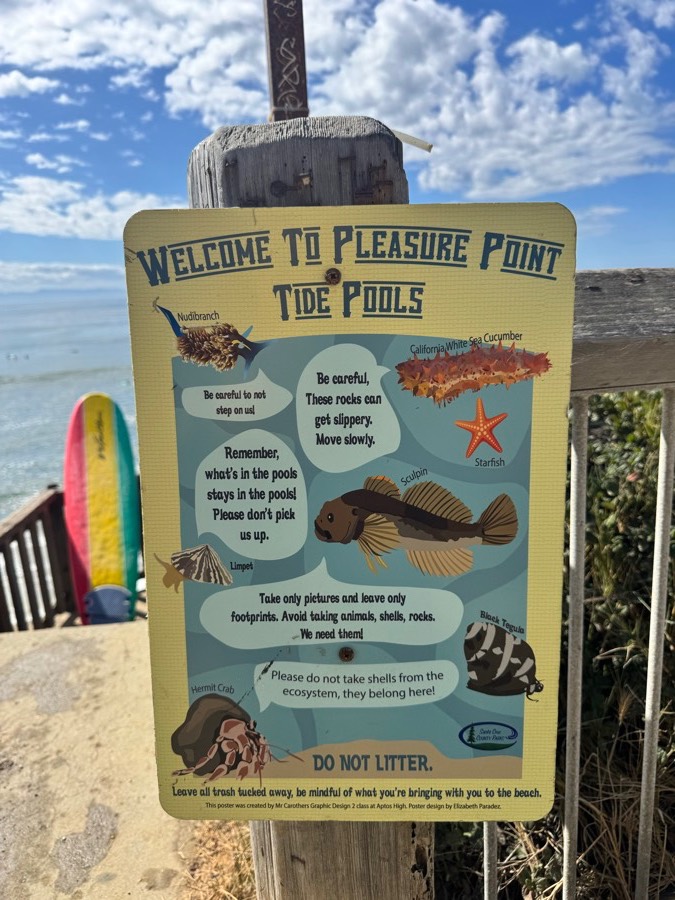 An illustrated poster headed &ldquo;Welcome to Pleasure Point Tide Pools&rdquo; showing a nudibranch, sea cucumber, starfish, sculpin, limpet, black turban snail and hermit crab, with requests not to remove animals or shells. It is bolted to a weathered post above the cliff.